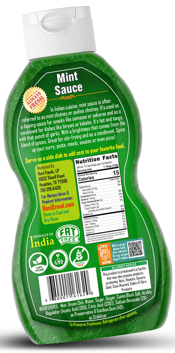 Rani Mint Sauce (Savory Dipping Sauce) 7oz (200g) Glass Jar, Ready to eat, Vegan ~ Gluten Free | NON-GMO | Indian Origin