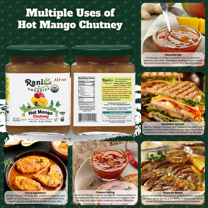 Rani Organic Hot Mango Chutney (Spicy Indian Preserve) 10.5oz (300g) Glass Jar, Ready to eat ~ All Natural | Vegan | Gluten Free | No Colors | NON-GMO | Indian Origin | USDA Certified Organic