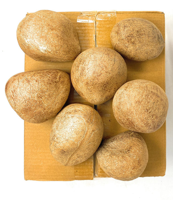 Rani Coconut (Copra) Whole 5 Pound (5lbs / 80 Ounce) Bulk ~Raw (uncooked, unsweetened) ~ All Natural | Vegan | Gluten Friendly