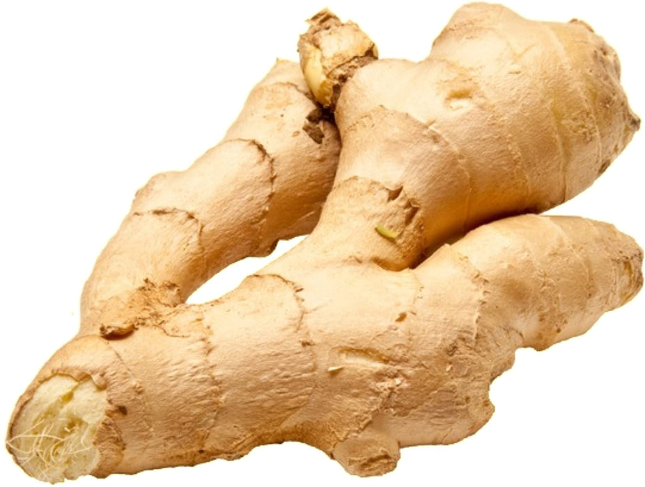 Fresh Ginger Root - By Rani Brand (2 Ounce)
