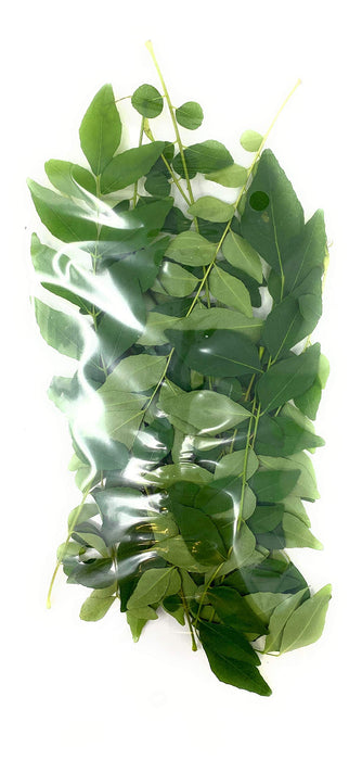 Rani Fresh Curry Leaves 1oz (28g) ~ All Natural | Vegan | Gluten Friendly | NON-GMO