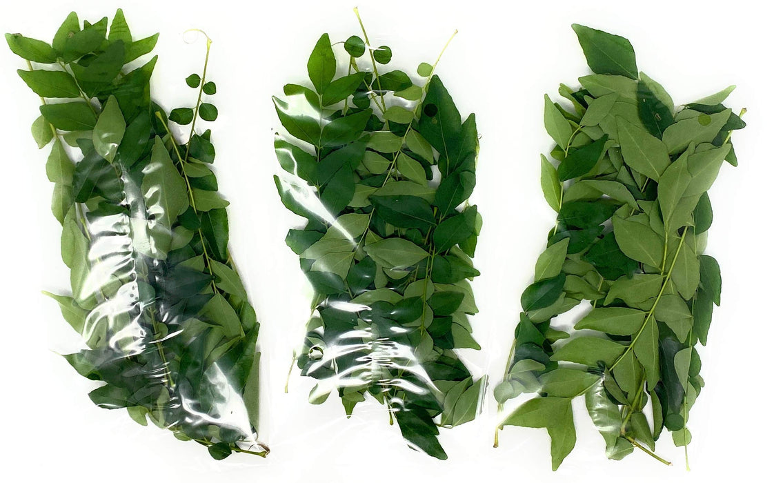 Rani Fresh Curry Leaves 3oz (Pack of 3 x 1oz) ~All Natural | Vegan | Gluten Friendly | NON-GMO
