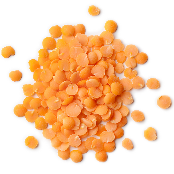 Rani Masoor Dal (Indian Red Lentils) Split Gram 400oz (25lbs) 11.36kg Bulk Box ~ All Natural | Gluten Friendly | NON-GMO | Vegan | Indian Origin