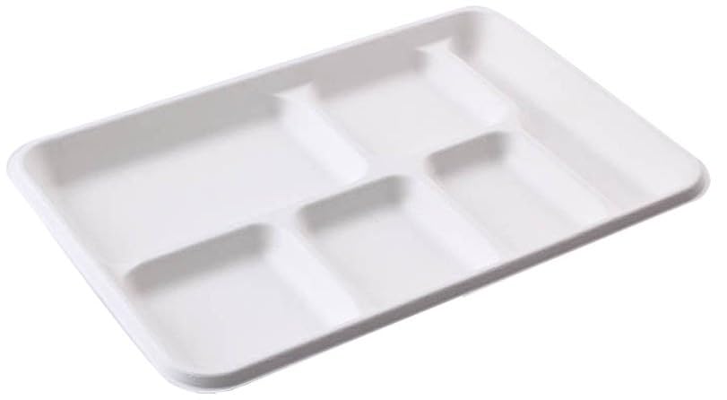 Rani 6 Compartment Square Biodegradable Divided Plates, Pack of 125 ~ Party, Thali, Buffet | Disposable & Eco-Friendly | Heavy-Duty Sturdy Paper Bagasse | Premium Quality | 12.5" x 8.5" x 1.10"