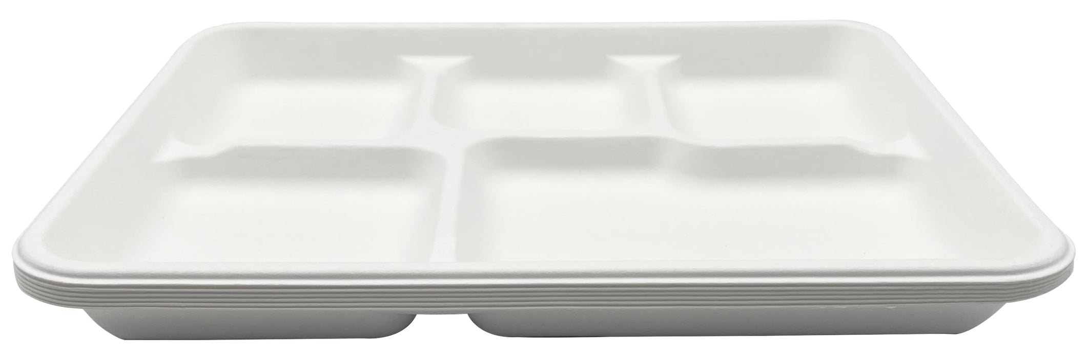 Rani 5 Compartment Square Biodegradable Divided Plates, Pack of 125 ~ Party, Thali, Buffet | Disposable & Eco-Friendly | Heavy-Duty Sturdy Paper Bagasse | Premium Quality | 10.24" x 8.27" x 0.91"