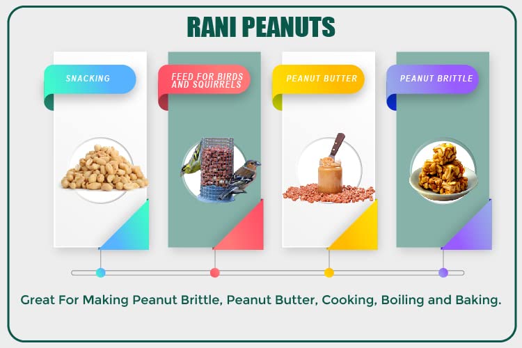 Rani Peanuts, Raw Whole With Skin (uncooked, unsalted) 7oz (200g) ~ All Natural | Vegan | Gluten Friendly | Kosher | Fresh Product of USA ~ Spanish Grade Groundnut / Red-skin