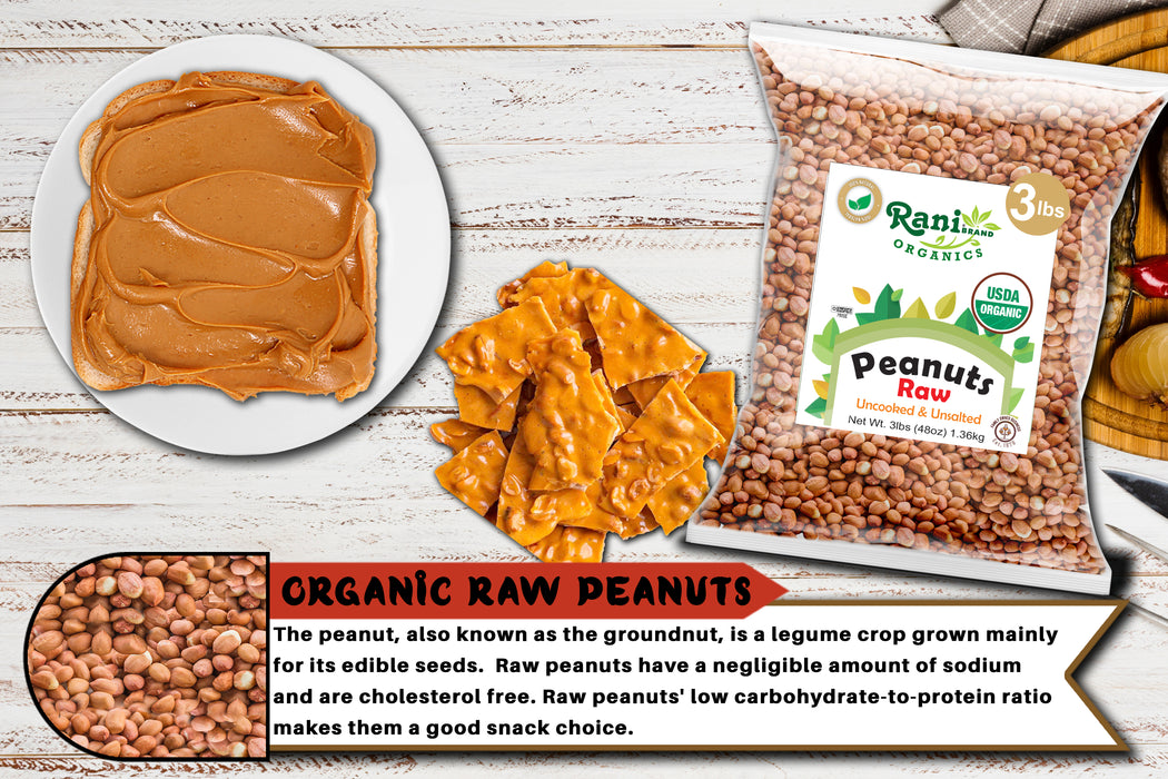 Rani Organic Peanuts, Raw Whole With Skin (uncooked, unsalted) 48oz (3lbs) 1.36kg Bulk ~ All Natural | Vegan | Gluten Friendly | Fresh Product of USA  ~ Spanish Grade Groundnut / Red-skin