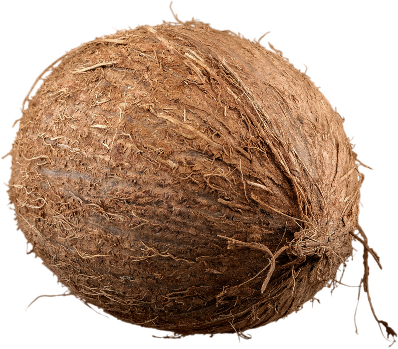 Rani Coconut (Copra) Whole Brown with Water, 3 Pieces, Approx. 1.5lbs each ~ Fresh Fruit | 100% Natural | Vegan