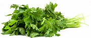 Rani Fresh Cilantro (Coriander) Leaves 2.5oz