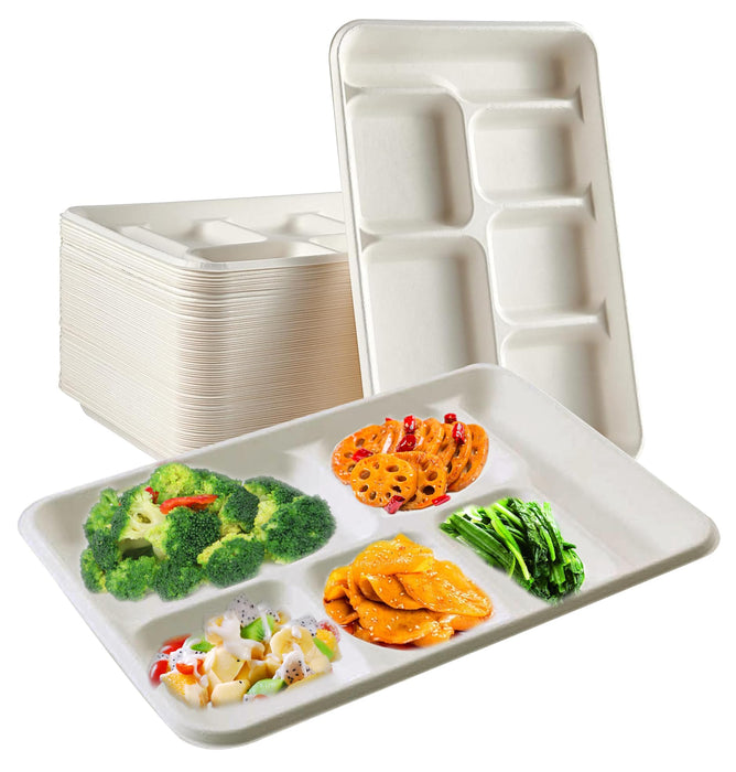 Rani 6 Compartment Square Biodegradable Divided Plates, Pack of 125 ~ Party, Thali, Buffet | Disposable & Eco-Friendly | Heavy-Duty Sturdy Paper Bagasse | Premium Quality | 12.5" x 8.5" x 1.10"