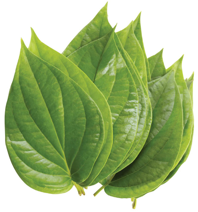 Rani Fresh Paan Leaves (10 Leaves) ~ All Natural | Vegan | Gluten Friendly | NON-GMO | Product of USA