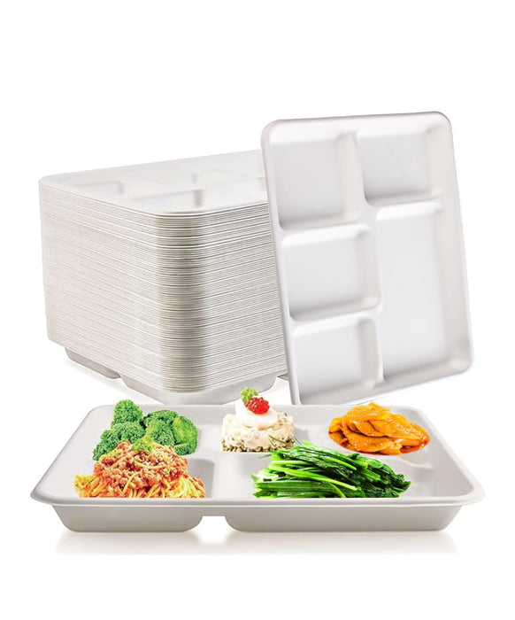 Rani 5 Compartment Square Biodegradable Divided Plates, Pack of 125 ~ Party, Thali, Buffet | Disposable & Eco-Friendly | Heavy-Duty Sturdy Paper Bagasse | Premium Quality | 10.24" x 8.27" x 0.91"