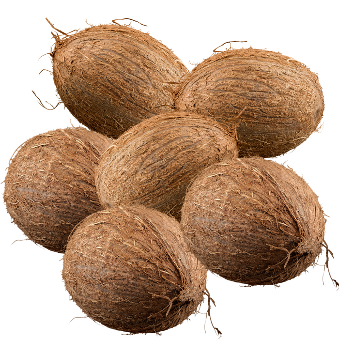 Rani Coconut (Copra) Whole Brown with Water, 6 Pieces, Approx. 1.5lbs each ~ Fresh Fruit | 100% Natural | Vegan