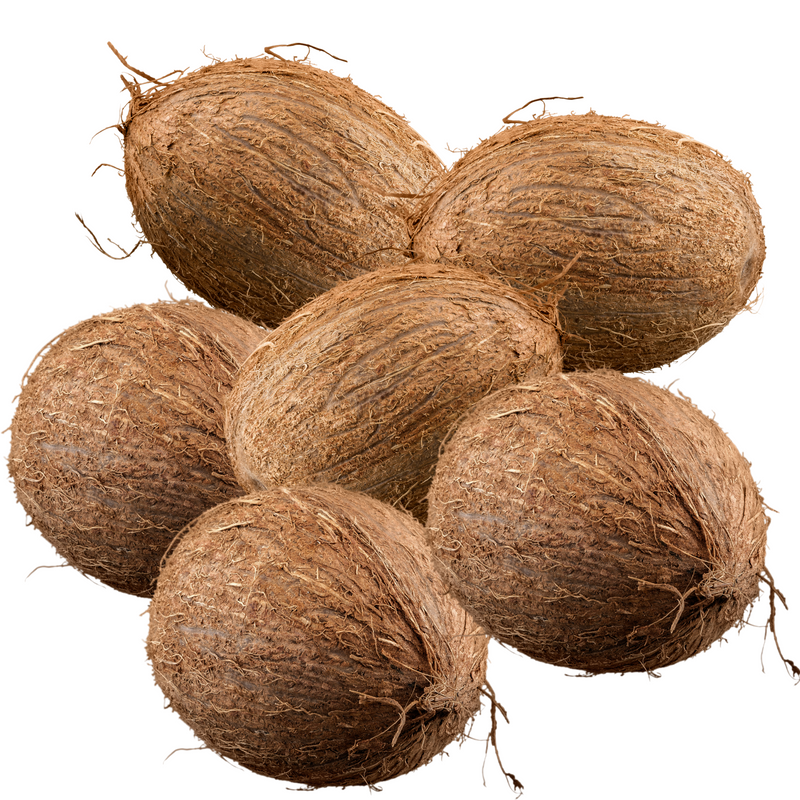 Rani Coconut (Copra) Whole Brown with Water, Approx. 1.5lbs each {3 Variations Available}