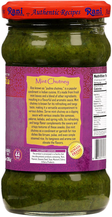 Rani Mint Chutney (Podina) 10.5oz (300g) Glass Jar, Ready to Eat, Pack of 5+1 FREE ~ Vegan | Gluten Free | NON-GMO | Kosher | No Colors | Indian Origin