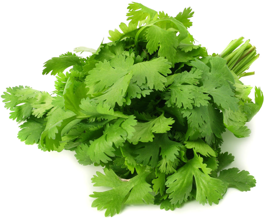 Rani Fresh Cilantro (Coriander) Leaves 2.5oz - 3.5oz, Pack of 1 ~ All Natural | Vegan | Gluten Friendly | NON-GMO | Product of USA