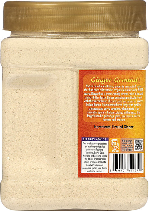 Rani Ginger (Adarak) Powder Ground, Spice 14oz (400g) PET Jar ~ Natural | Vegan | Gluten Friendly  | NON-GMO | Kosher | Indian Origin