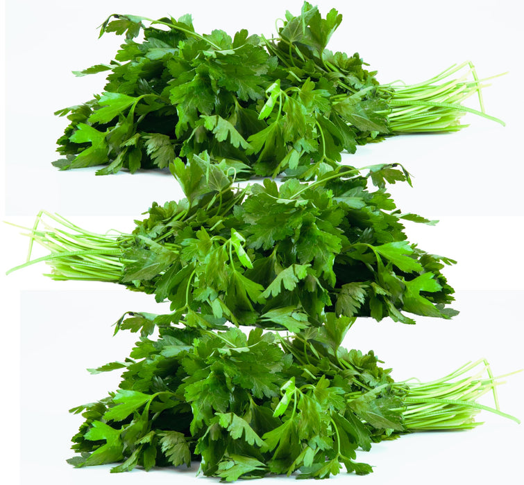 Rani Fresh Cilantro (Coriander) Leaves 5oz - 7oz, Pack of 3 ~ All Natural | Vegan | Gluten Friendly | NON-GMO | Product of USA