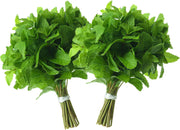 Rani Fresh Mint (Pudina) Leaves 2oz