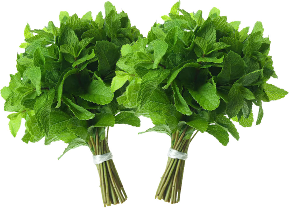 Rani Fresh Mint (Pudina) Leaves 2oz - 4oz,Pack of 2 ~ All Natural | Vegan | Gluten Friendly | NON-GMO | Product of USA