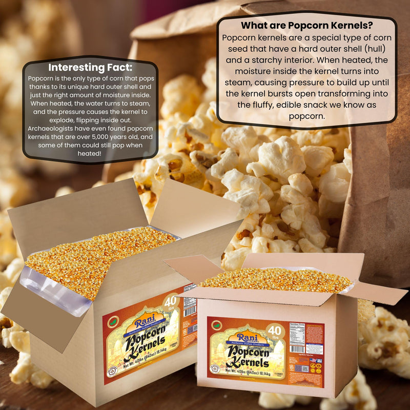 Popcorn Kernels 40lbs (640oz) 18.14kg - Rani Brand Authentic Indian Products