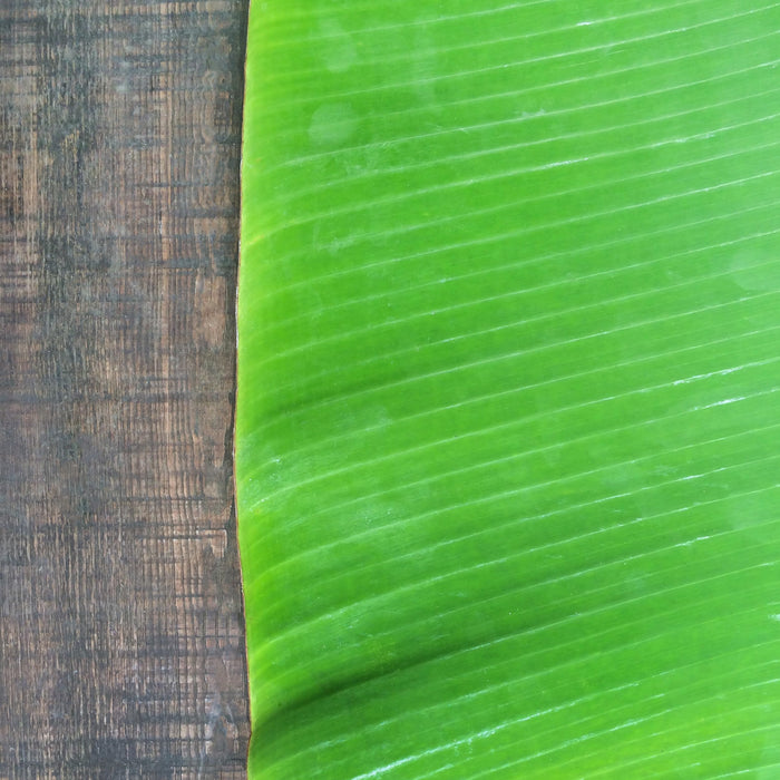 Rani Fresh Banana (Kela) Leaves Approximately 16oz (454g) 1lb ~ All Natural | Vegan | Gluten Friendly | NON-GMO | Product of USA