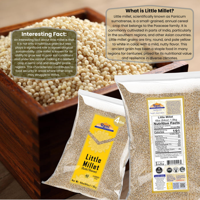 Rani Little Millet (Panicum Sumatrense) Whole Ancient Grain Seeds, 64oz (4lbs) 1.81kg~All Natural | Gluten Friendly | NON-GMO | Kosher | Vegan | Indian Origin