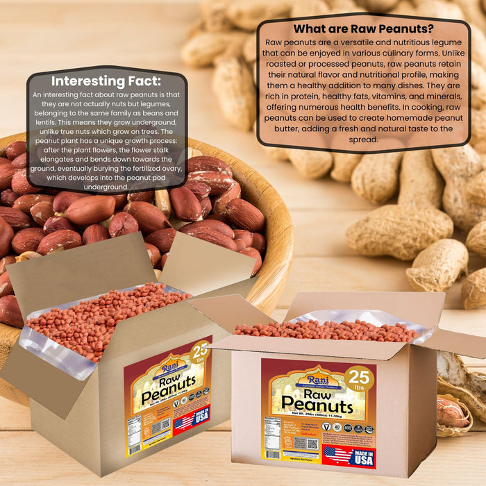 Rani Peanuts, Raw Whole With Skin (uncooked, unsalted) 25lbs (400oz) Bulk Box, 80 cases per Pallet ~ All Natural | Vegan | Gluten Friendly | Fresh Product of USA ~ Spanish Grade Groundnut/Red-skin