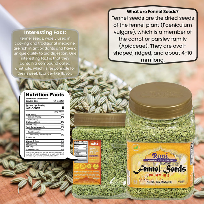 Rani Fennel Seeds (Saunf Sabut) Whole Spice 16oz (1lb) 454g PET Jar ~ All Natural | Gluten Friendly | NON-GMO | Vegan | Kosher | Indian Origin