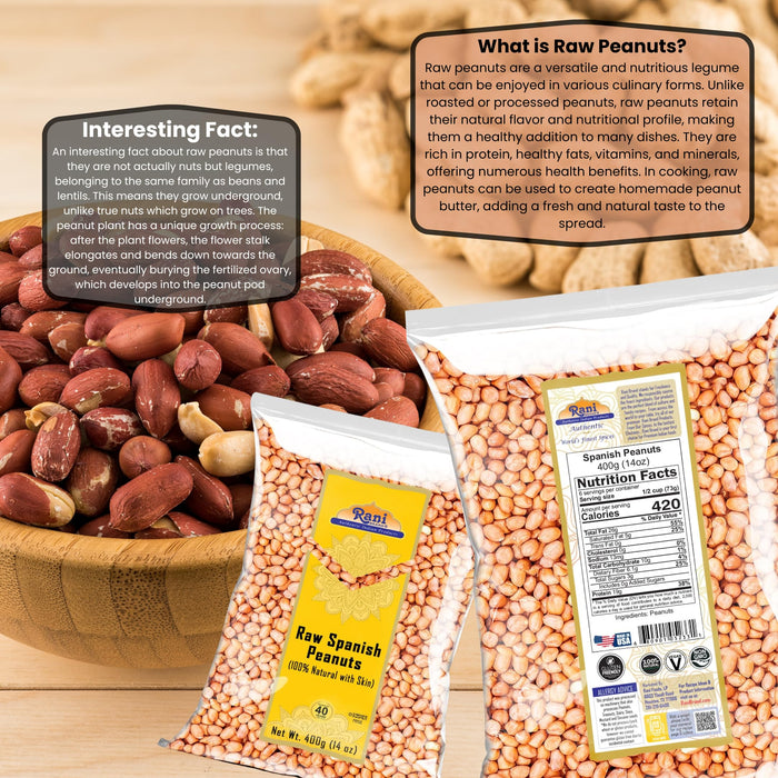 Rani Raw Spanish Peanuts 100% Natural with Skin (uncooked, unsalted) 14oz (400g) ~ Vegan | Gluten Friendly | Fresh Product of USA | Kosher | Red-brown Skin