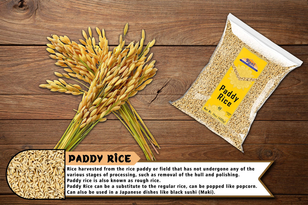 Rani Paddy Rice (Raw Unfinished Rice) 14oz (400g) ~ All Natural | Vegan | Gluten Friendly | NON-GMO | Kosher | Product of USA