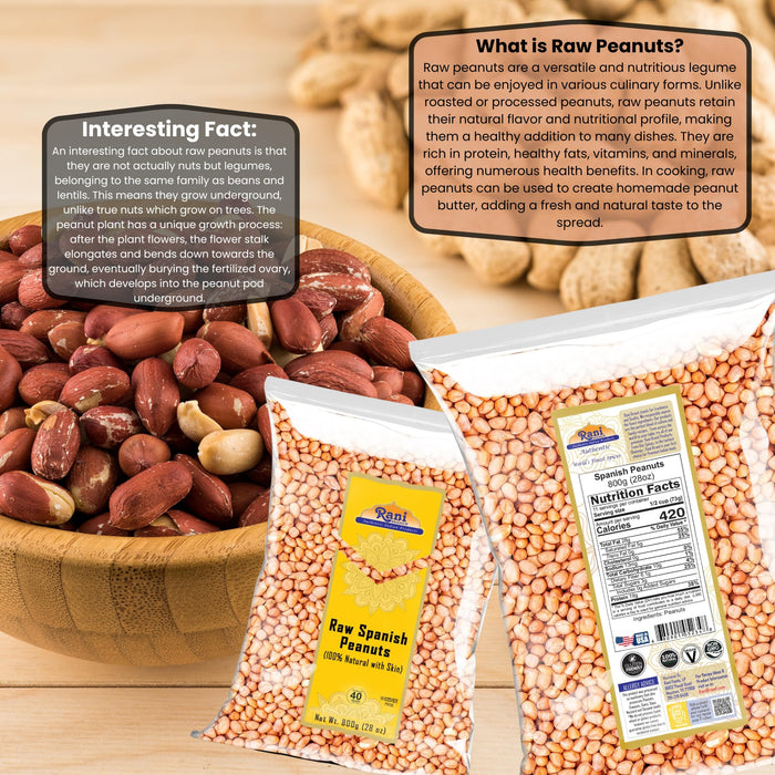 Rani Raw Spanish Peanuts 100% Natural with Skin (uncooked, unsalted) 28oz (1.75lbs) 800g ~ Vegan | Gluten Friendly | Fresh Product of USA | Kosher | Red-brown Skin