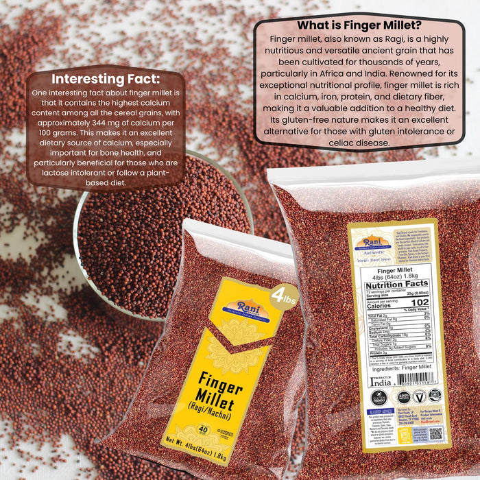 Rani Ragi Finger Millet (Eleusine Coracana) Whole Ancient Grain Seeds 64oz (4lbs) 1.81kg Bulk ~ All Natural | Gluten Friendly | NON-GMO | Kosher | Vegan | Indian Origin