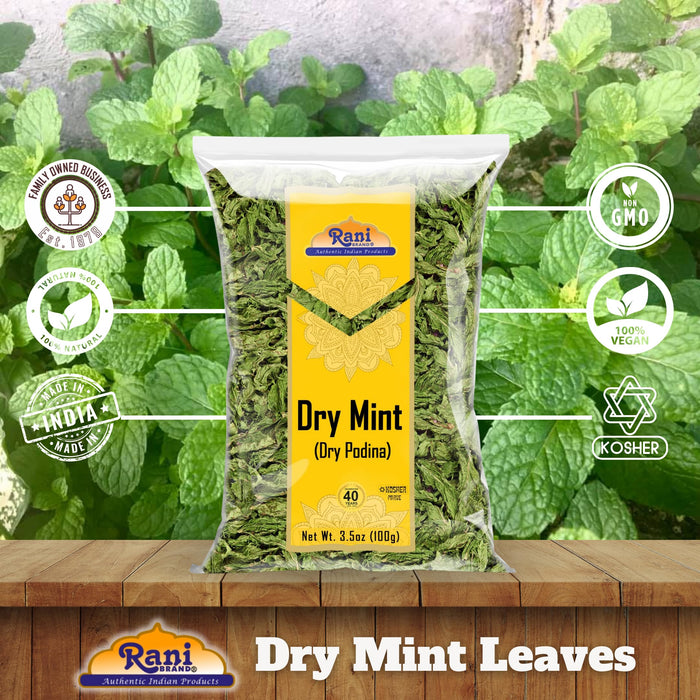 Rani Dry Mint Leaves (Podina Leaf) Spice, Dried Herb 3.5oz (100g) ~ All Natural | Gluten Friendly | NON-GMO | Kosher | Vegan | Indian Origin