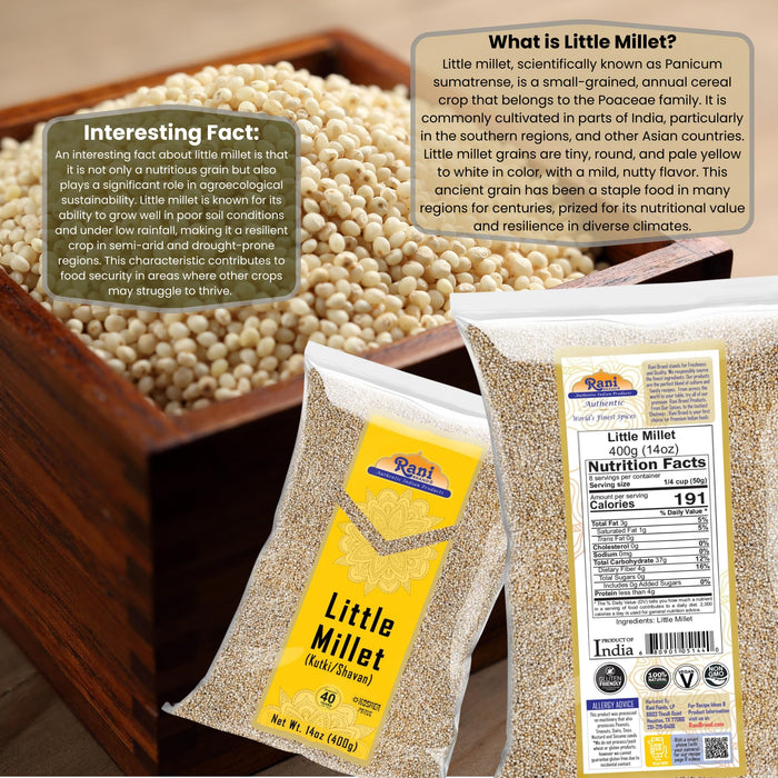 Rani Little Millet (Panicum Sumatrense) Whole Ancient Grain Seeds 14oz (400g) ~ All Natural | Gluten Friendly | NON-GMO | Kosher | Vegan | Indian Origin