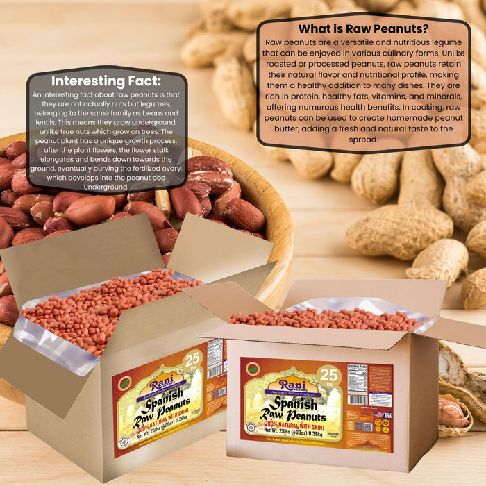 Rani Raw Spanish Peanuts 100% Natural with Skin (uncooked, unsalted) 25lbs (400oz) 11.36kg Bulk Box ~ Vegan | Gluten Friendly | Fresh Product of USA | Kosher | Red-brown Skin