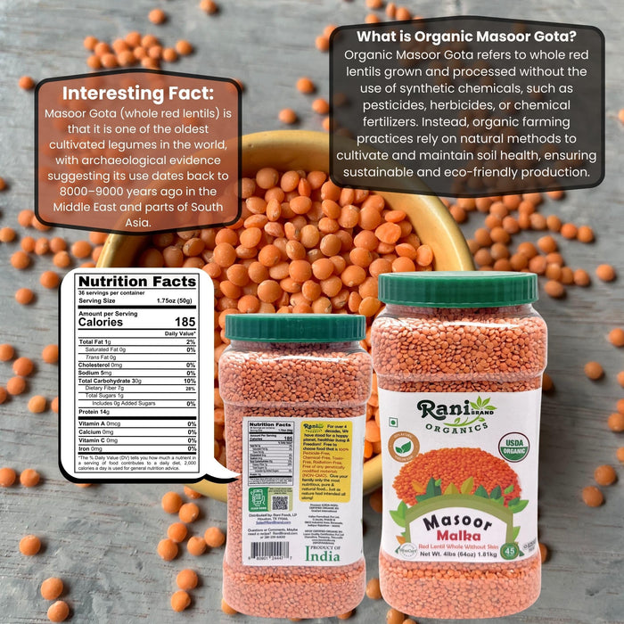 Rani Organic Masoor Gota (Football) Indian Red Lentils Skinless 64oz (4lbs) 1.81kg Bulk ~ All Natural | Gluten Friendly | NON-GMO | Kosher | Vegan | Indian Origin