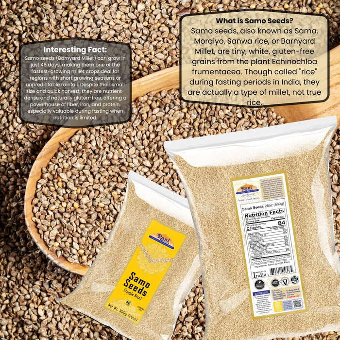 Rani Samo Seeds Whole 28oz (800g) Bulk ~ Japanese barnyard millet / Jungle Rice/Moriyo/ Samak Rice Echinochloa frumentacea ~ All Natural | Vegan | Gluten Friendly | Kosher | NON-GMO | Indian Origin