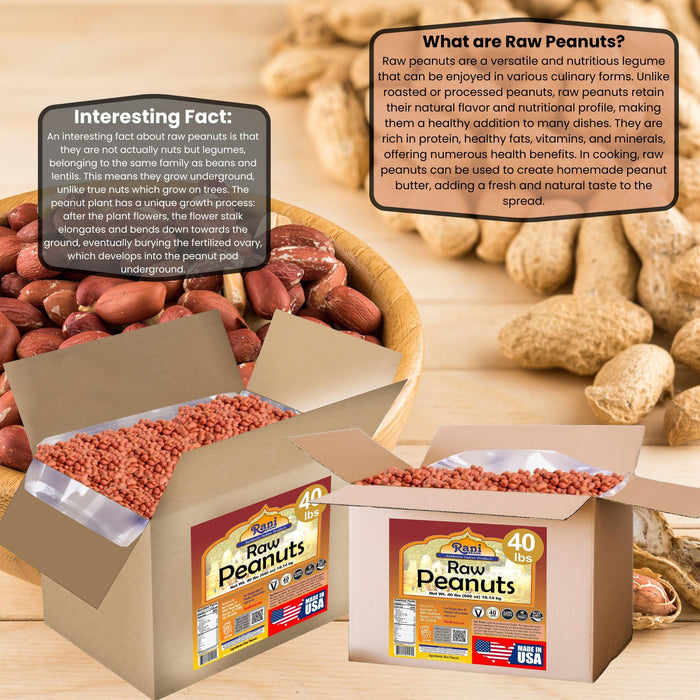 Rani Peanuts, Raw Whole With Skin (uncooked, unsalted) 40lbs (600oz) Bulk Box, 50 cases per Pallet ~ All Natural | Vegan | Gluten Friendly | Fresh Product of USA ~ Spanish Grade Groundnut/Red-skin