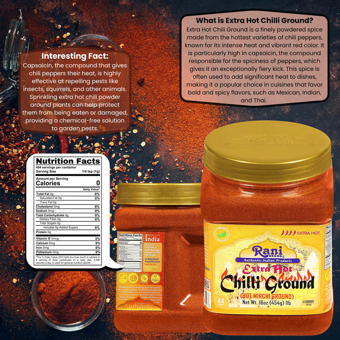 Rani Extra Hot Chilli Powder Indian Spice 16oz (1lb) 454g PET Jar ~ All Natural | Salt-Free | Vegan | No Colors | Gluten Friendly | NON-GMO | Kosher