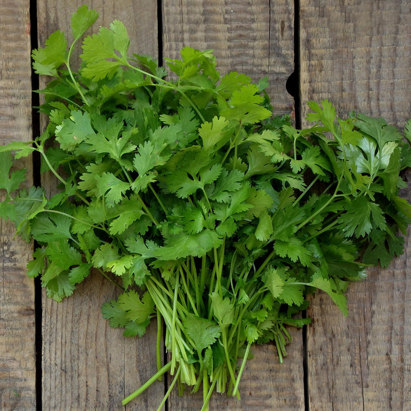Rani Fresh Cilantro (Coriander) Leaves 2.5oz - 3.5oz, Pack of 1 ~ All Natural | Vegan | Gluten Friendly | NON-GMO | Product of USA