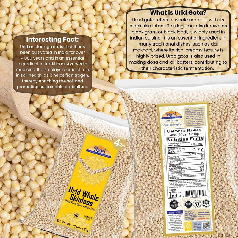 Rani Urid/Urad Gota White (Matpe Beans Skinless) Indian Lentils 64oz (4lbs) 1.81kg Bulk ~ All Natural | Gluten Friendly | NON-GMO | Kosher | Vegan | Indian Origin
