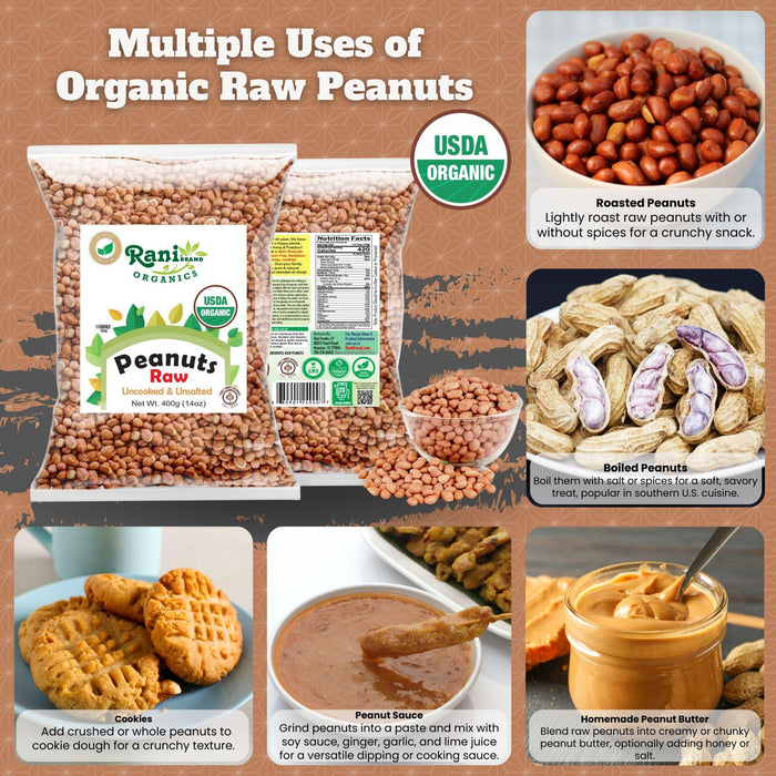 Rani Organic Peanuts, Raw Whole With Skin (uncooked, unsalted) 14oz (400g) ~ All Natural | Vegan | Gluten Friendly | Fresh Product of USA | USDA Certified Organic ~ Spanish Grade Groundnut / Red-skin