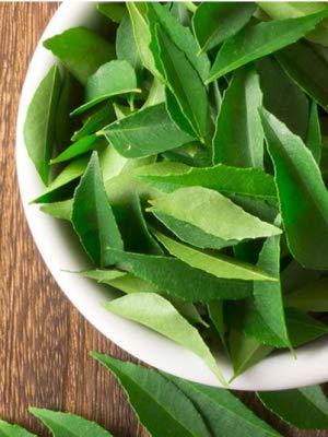 Rani Fresh Curry Leaves 3oz (Pack of 3 x 1oz) ~All Natural | Vegan | Gluten Friendly | NON-GMO