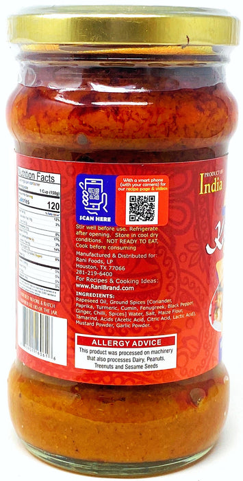 Best Rani Kebab Masala Paste for Meat Dishes - Kitchen Products