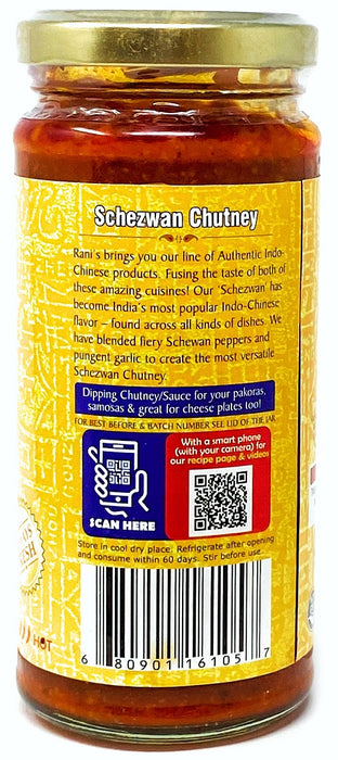 Rani Schezwan Chutney 8.8oz (250g) Glass Jar ~ No Colors | NON-GMO | Vegan | Gluten Free | Indian Origin (Indo-Chinese)