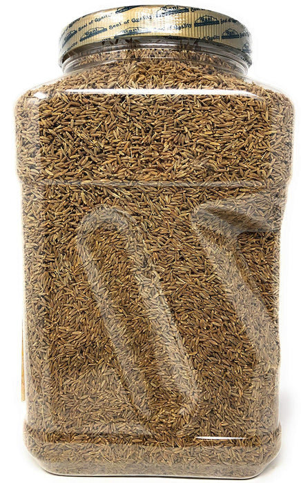 Rani Cumin Seeds Whole (Jeera) Spice 80oz (5lbs) 2.27kg Bulk PET Jar ~ All Natural | Gluten Friendly | NON-GMO | Vegan | Indian Origin