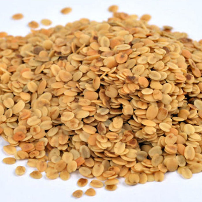 Rani Dhana Dal (Roasted Coriander Seeds) Brown 14oz (400g) ~ All Natural | Vegan | No Colors | Gluten Friendly | NON-GMO | Indian Origin