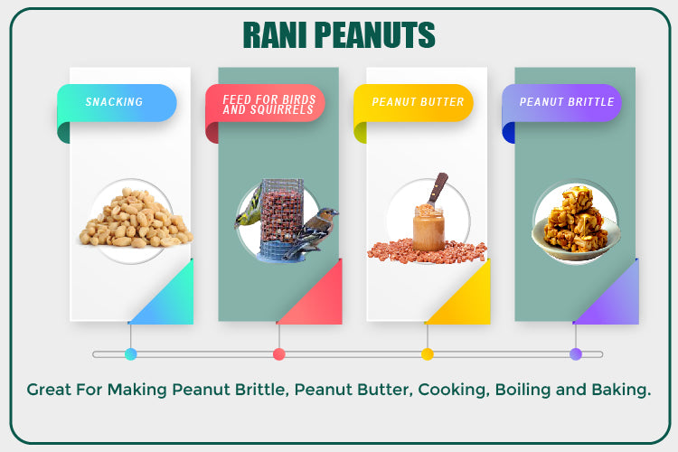 Rani Peanuts, Raw Whole With Skin (uncooked, unsalted) 25lbs (400oz) 11.36kg Bulk Box ~ All Natural | Vegan | Gluten Friendly | Fresh Product of USA ~ Spanish Grade Groundnut / Red-skin