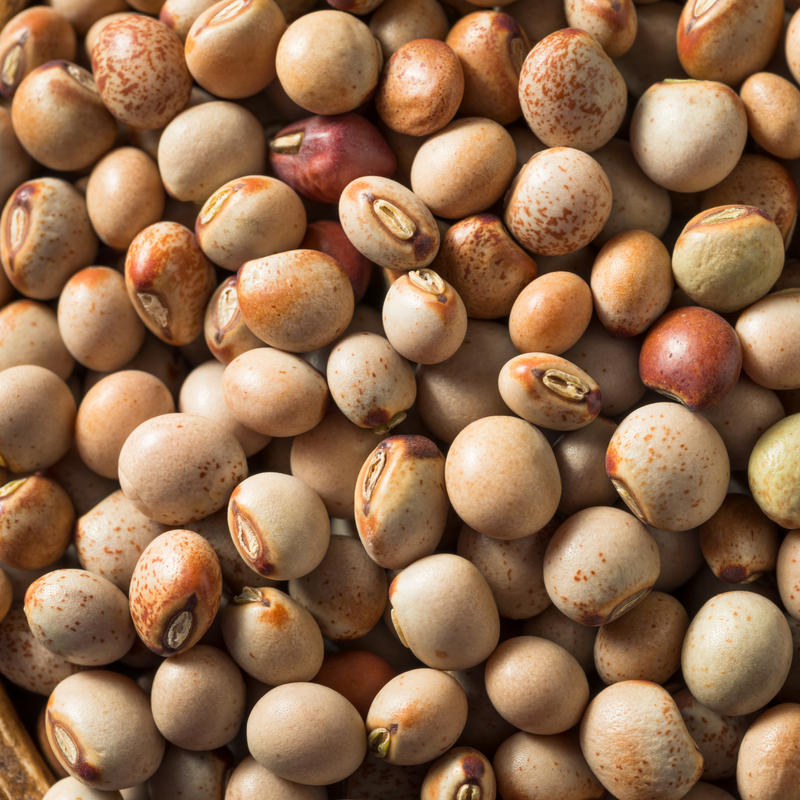 Rani Toor (Pigeon Peas) Whole 2lbs (32oz) ~ All Natural | Gluten Friendly | NON-GMO | Vegan | Indian Origin
